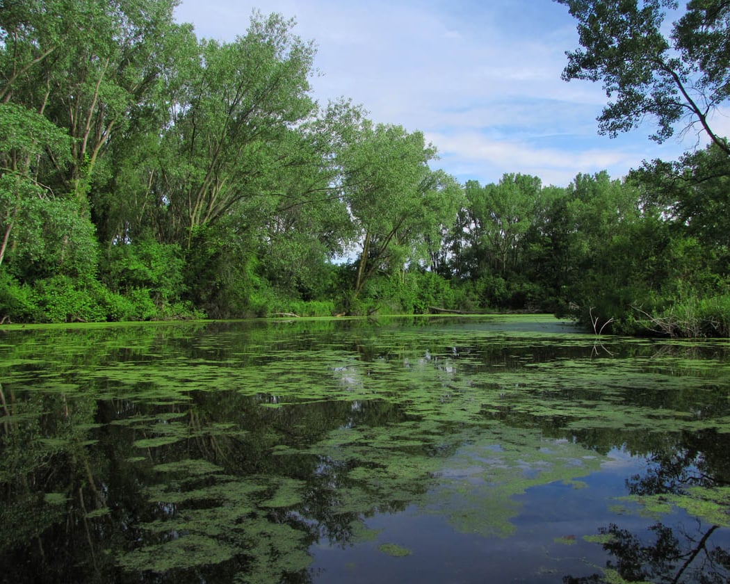 Sunnyside Conservancy 3